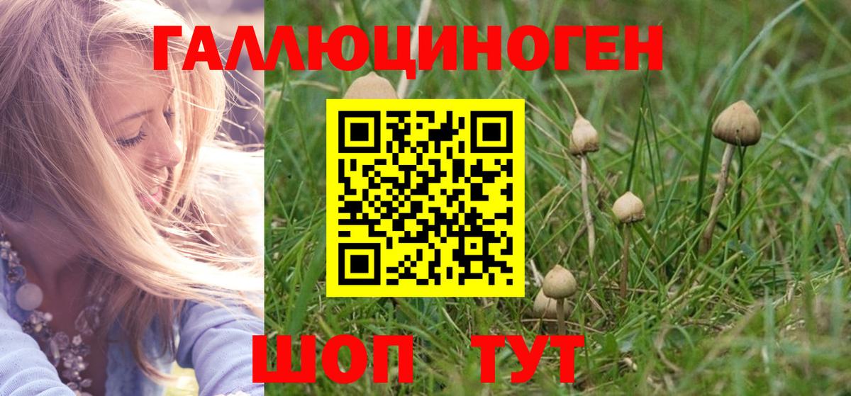 Метадон  Бошки Шишки  КОКАИН  Вход с VPN  ЭКСТАЗИ  Гашиш  Киров  Мефедрон кристаллы 